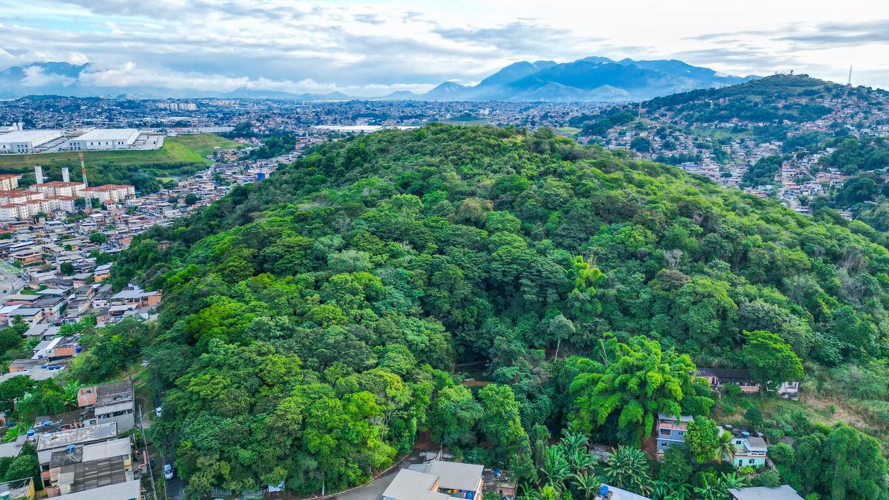 Imagem ilustrativa da matéria: Marco histórico para conservação ambiental do Parque Jurema em Meriti