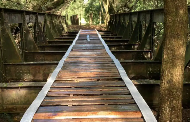 Imagem ilustrativa da matéria: Ponte ferroviária do século XIX desaparecida é encontrada em fazenda na Zona da Mata